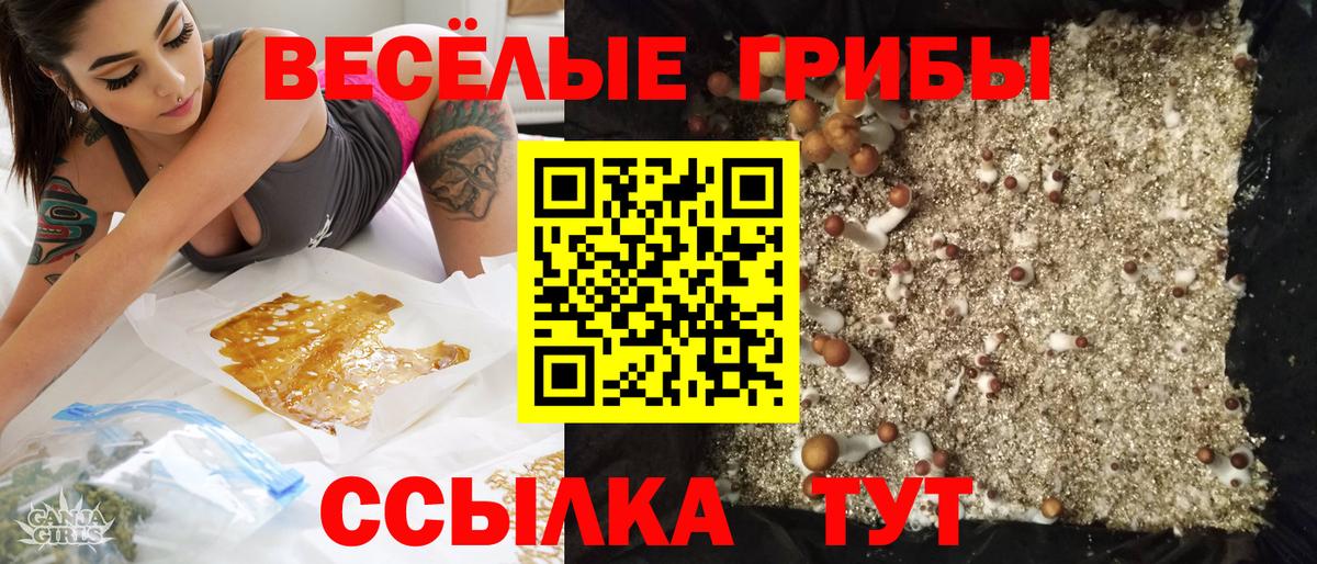 дарнет шоп  Вход с VPN  Псилоцибиновые грибы Psilocybine cubensis  Уварово  Галлюциногенные грибы мухоморы 